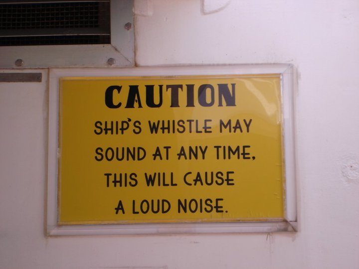 Johnny Stone's album, Carnival Cruise to Cozumel