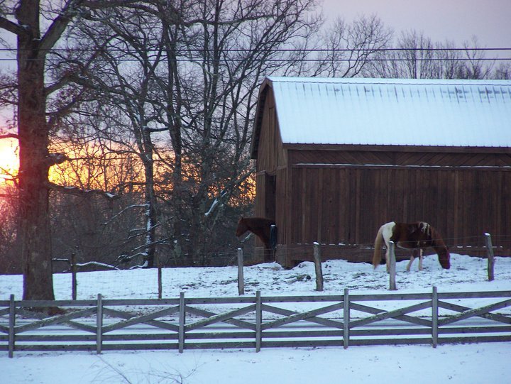 Glenna Hardy's album, sunrise-sunsets
