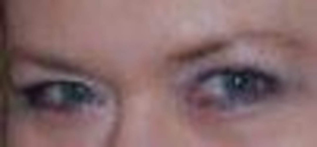 Julie Wilcox's album, Profile Pictures