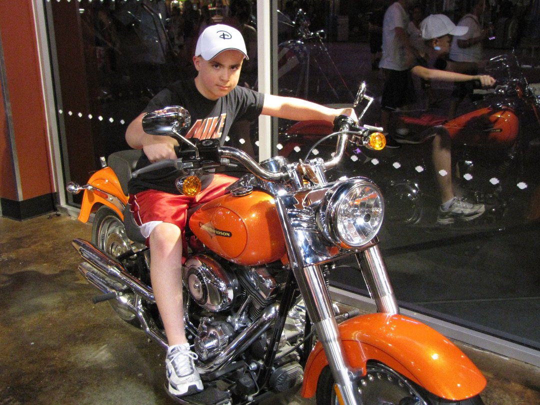 David Andrews' album, Walt Disney World 2013