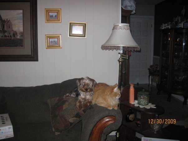 Margay Callison's album, Pictures