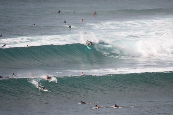 Mike Davis' album, a couple shots of honolua bay