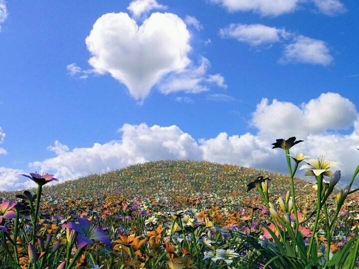 Maureen Smith's album, Cover Photos