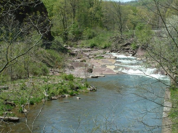 Gregory Condio's album, Fishing Wills Creek