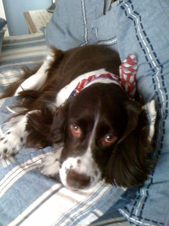 Nancy Coffey's album, Holly