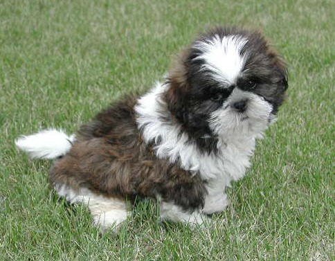 Kim Long's album, Profile Pictures