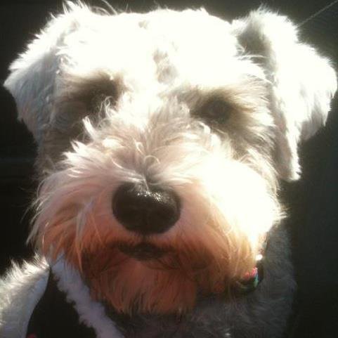 Jean Bruce's album, Profile Pictures