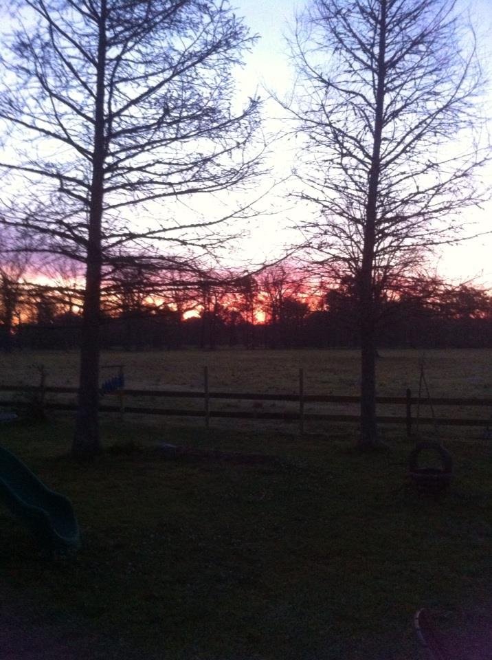 Bennie Rice's album, iOS Photos