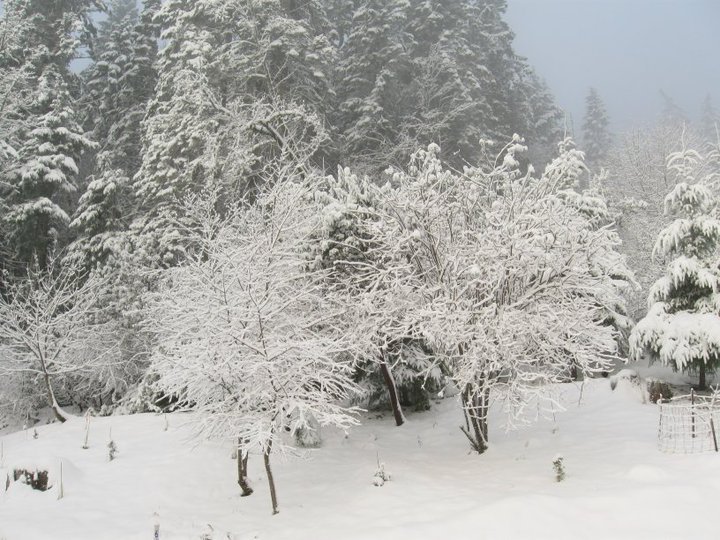 Lon Jackson's album, Snow Fall on the Mountain