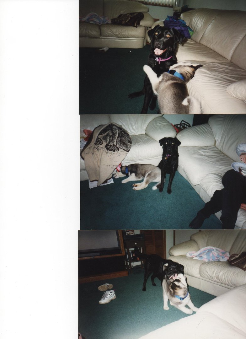 Phil Coleman's album, Profile Pictures