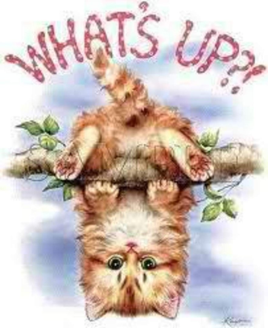 Retha Henderson's album, Mobile Uploads