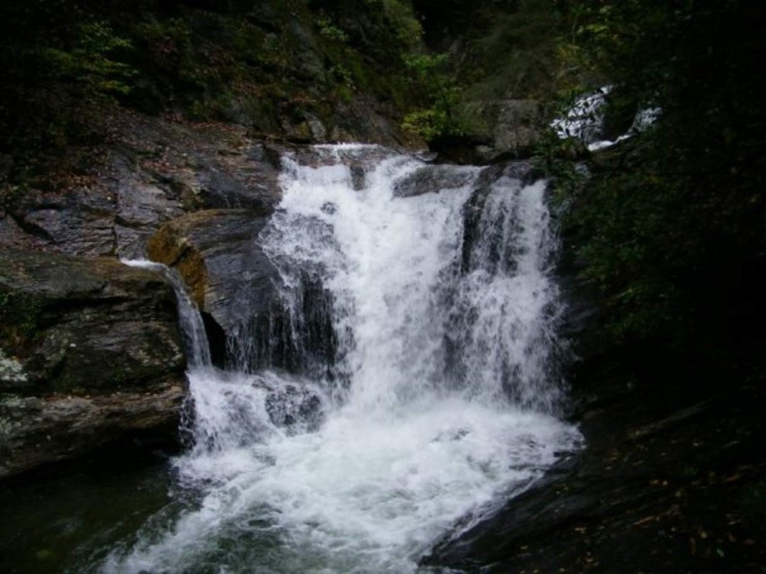 Rosemarie Hendricks' album, Helen, Ga