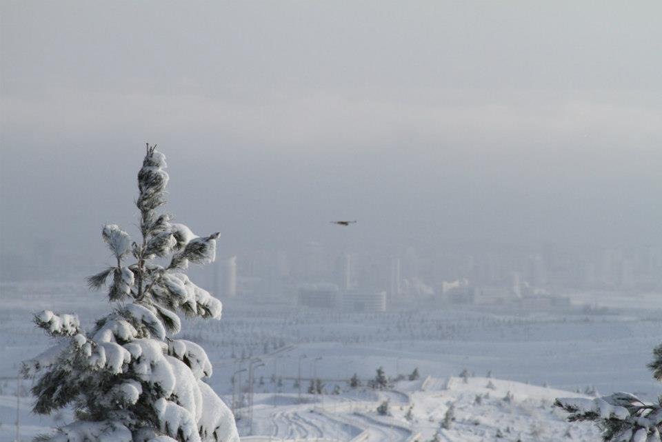 Bill Leaf's album, Snowy Kopet Dag - March 8, 2013