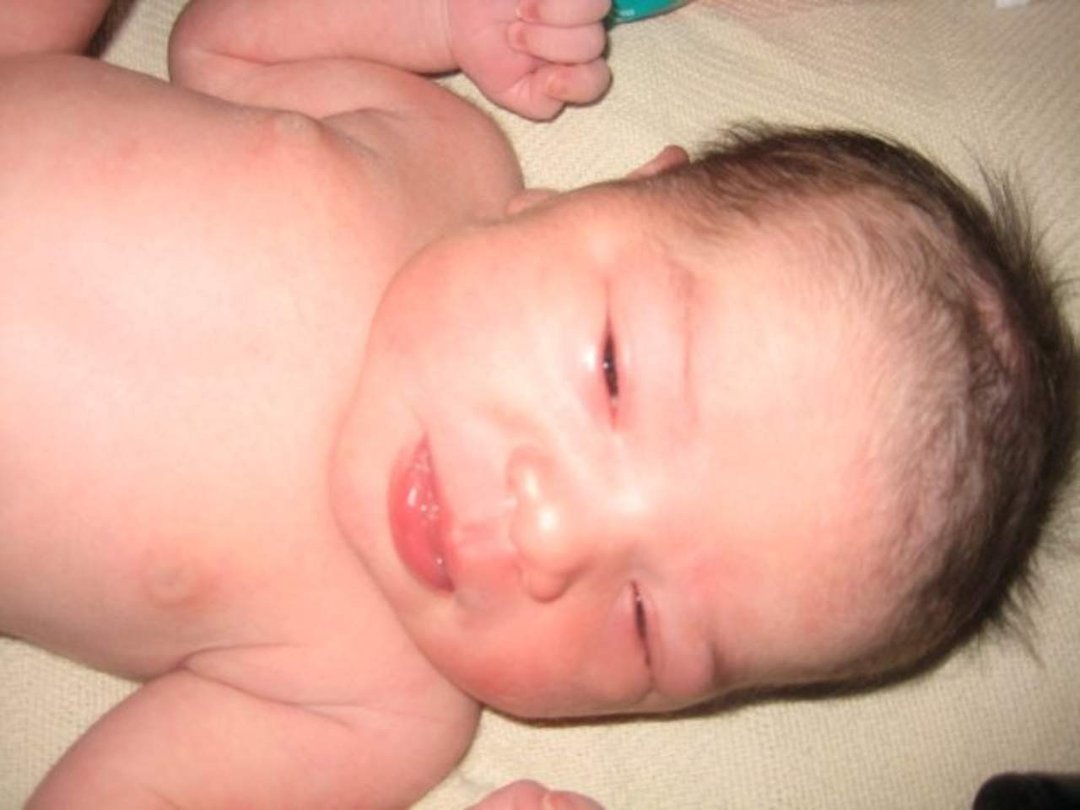 Suzanne Flores' album, Audrey Mae