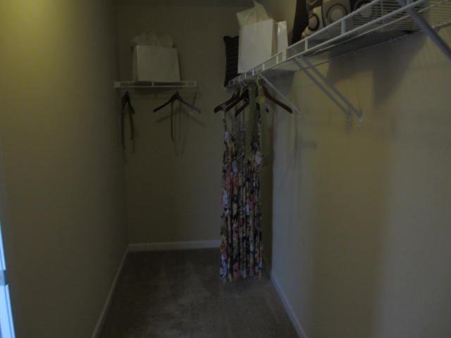 Joyce Pakos' album, New House