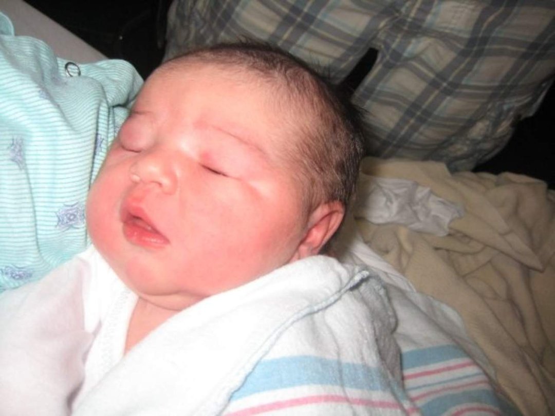 Suzanne Flores' album, Audrey Mae