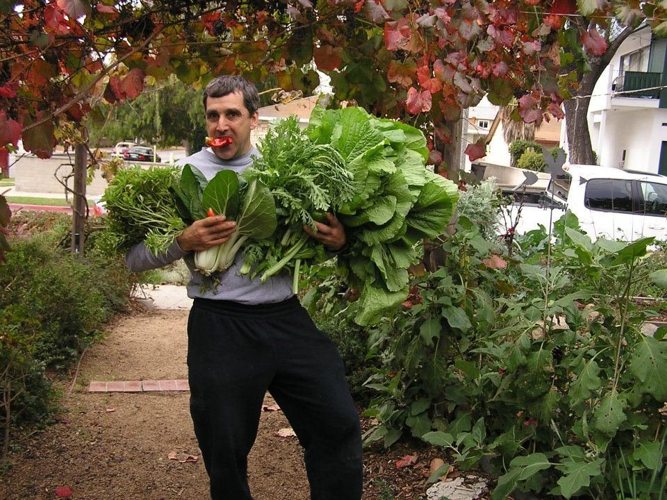 Mark Haprov's album, Veggies