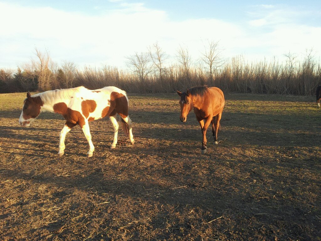Deb Stover's album, Mobile Uploads