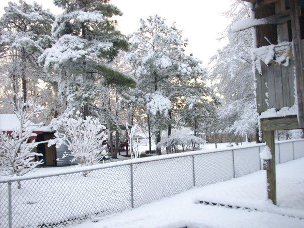 Donald Austin's album, Feb 2010 Snow