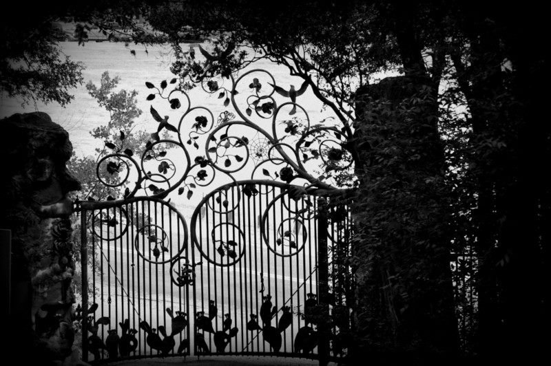 Cyndi Leonards' album, Zilker Botanical Gardens