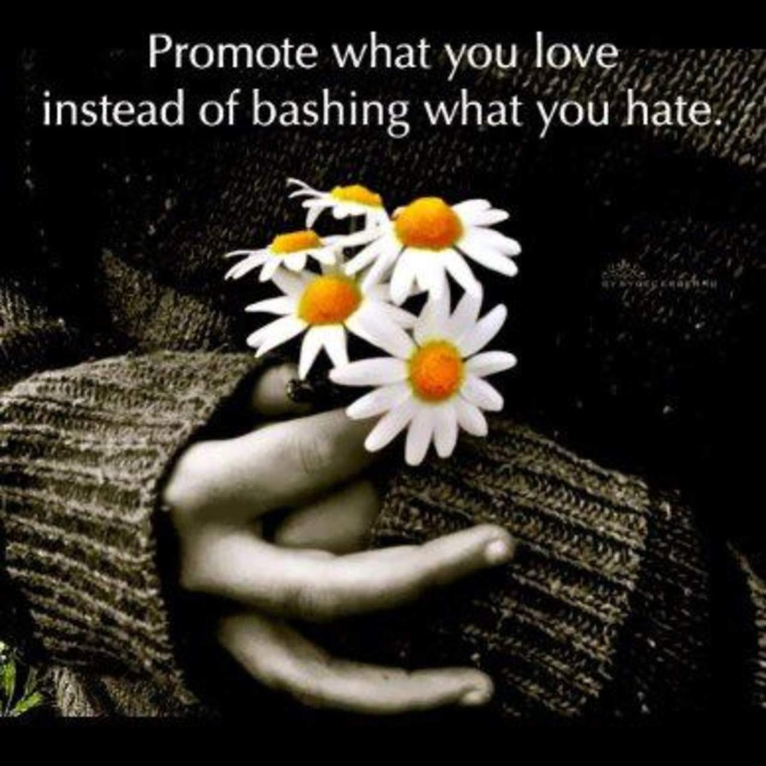 Erika Van Zandt Larocque's album, Timeline Photos