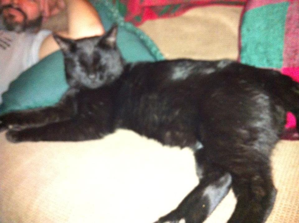 Joanne Miller's album, iOS Photos