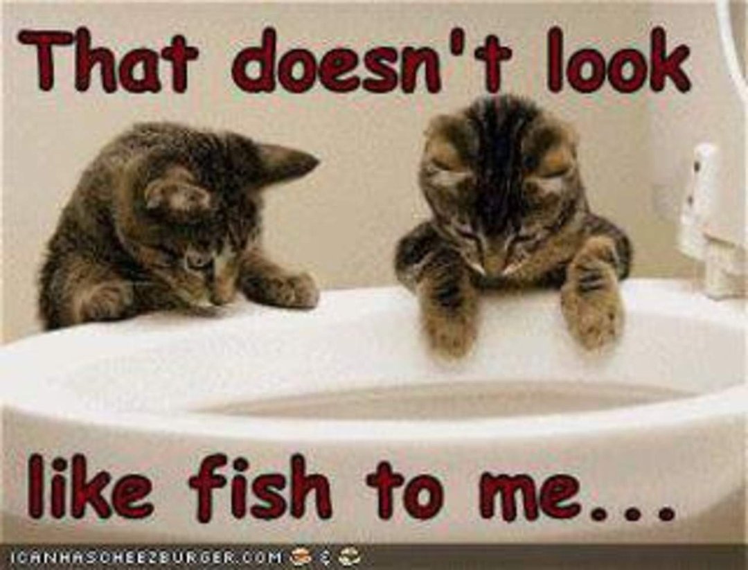 Michael Brady's album, Timeline Photos