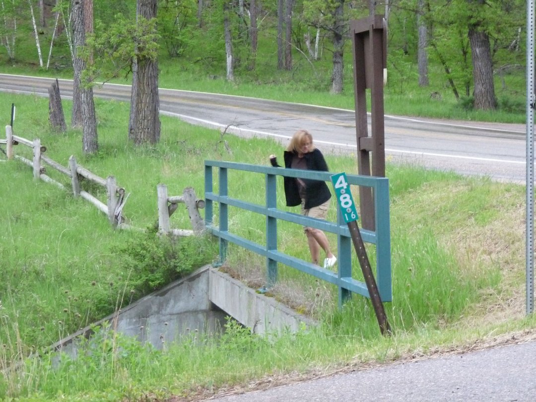 Michelle Haney's album, South Dakota June of 2011