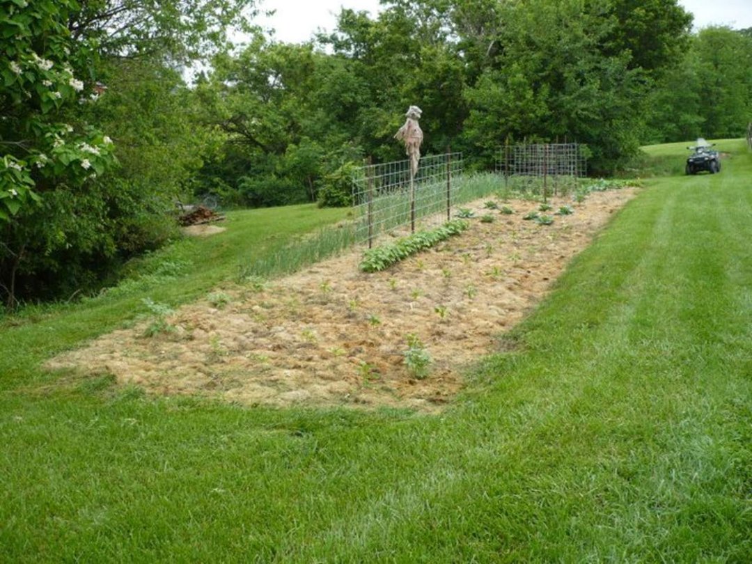 Vern Barry's album, 2011 Garden