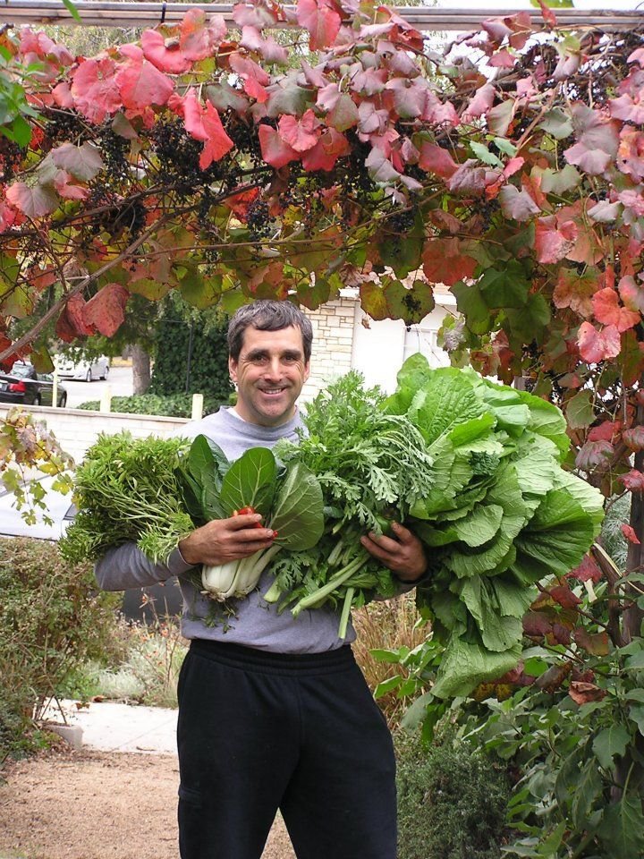 Mark Haprov's album, Veggies