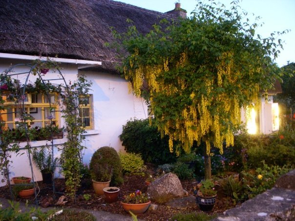 Susan Gaydos Helmsing's album, ireland