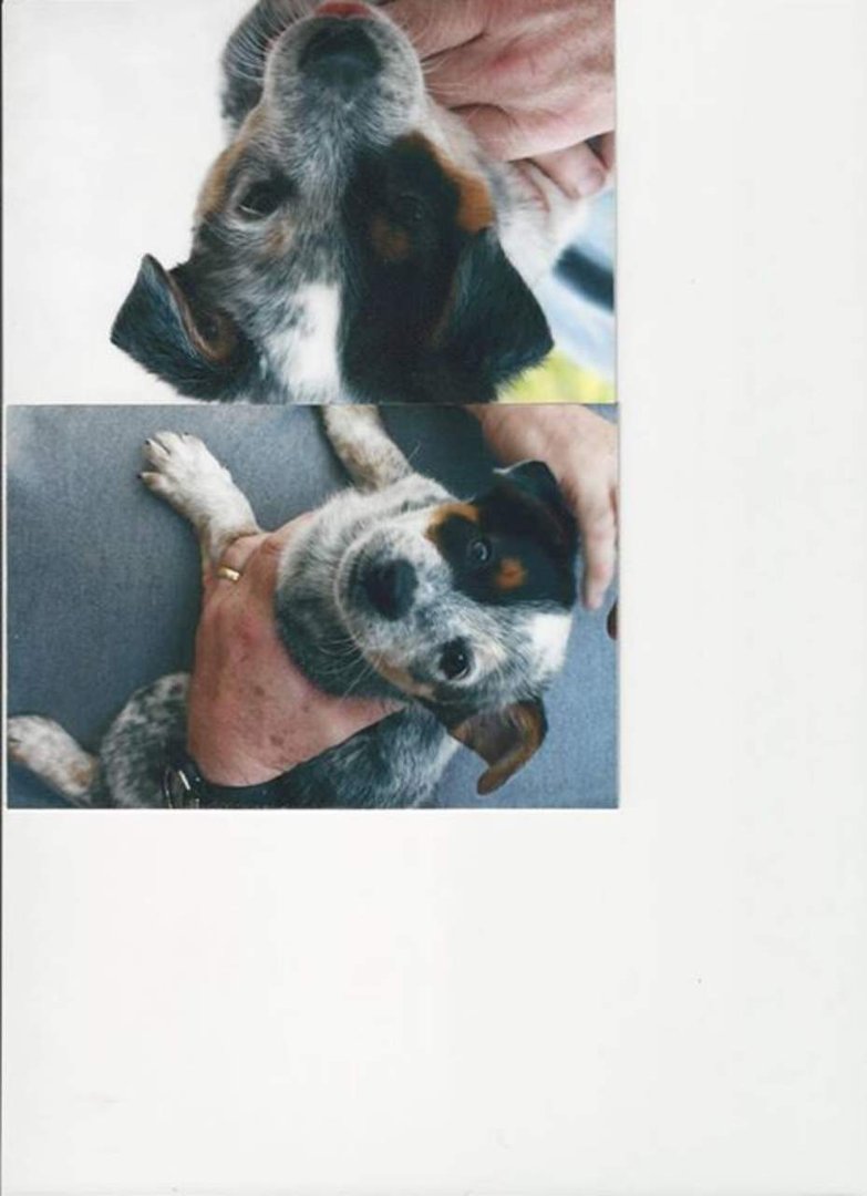 Greg Platten's album, Profile Pictures