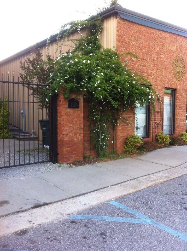 Debbie Bloodworth's album, iOS Photos