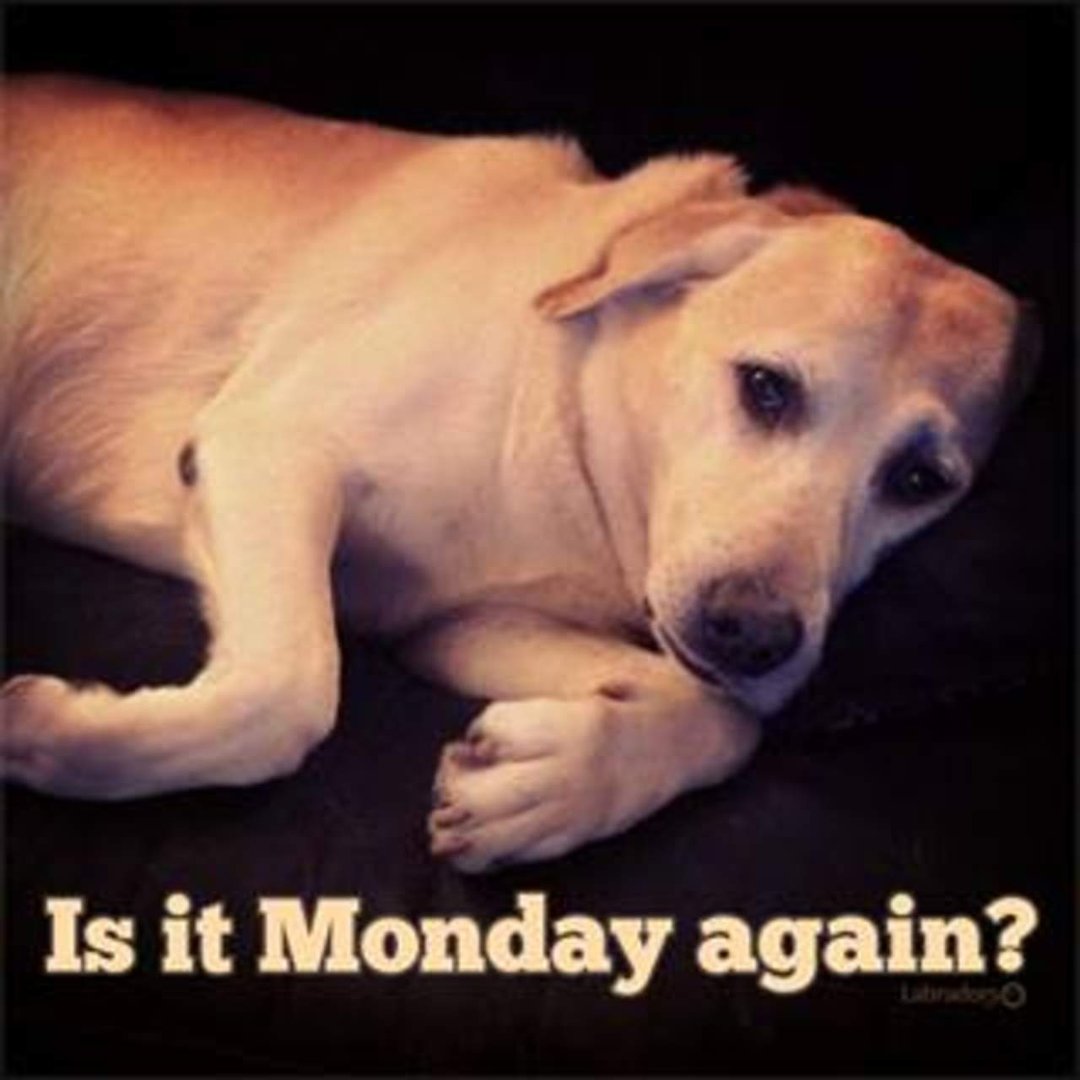 John Bishop's album, Timeline Photos