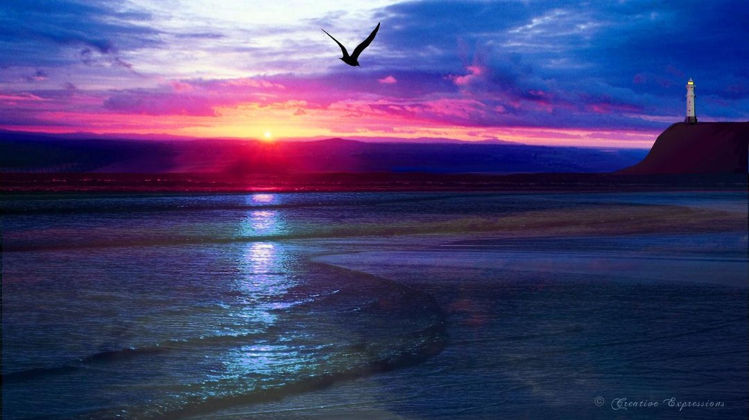 Susan Duncan's album, Cover Photos