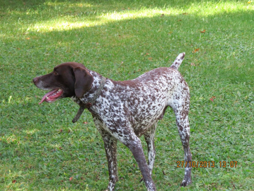 Mike Ivey's album, September 2013