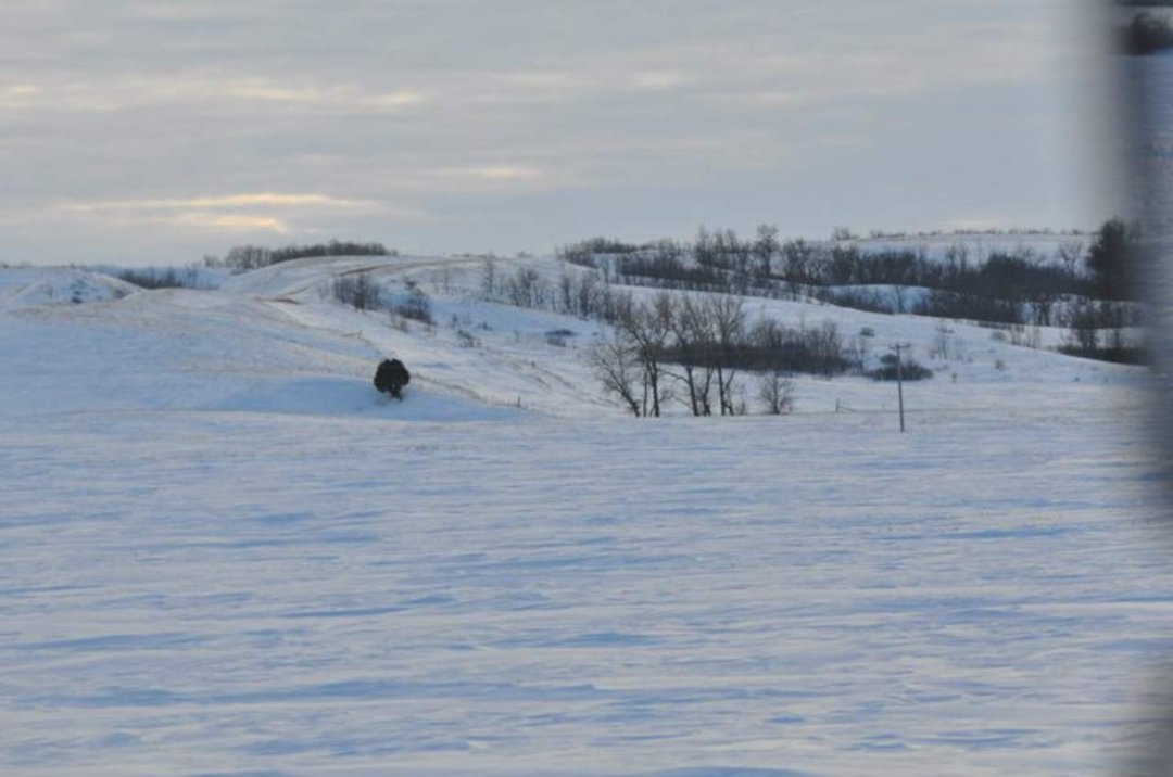 Edward Asbert's album, Cananda trip January , 2011