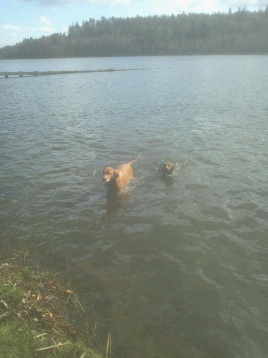 Kerry Benson's album, LG Phone Photos
