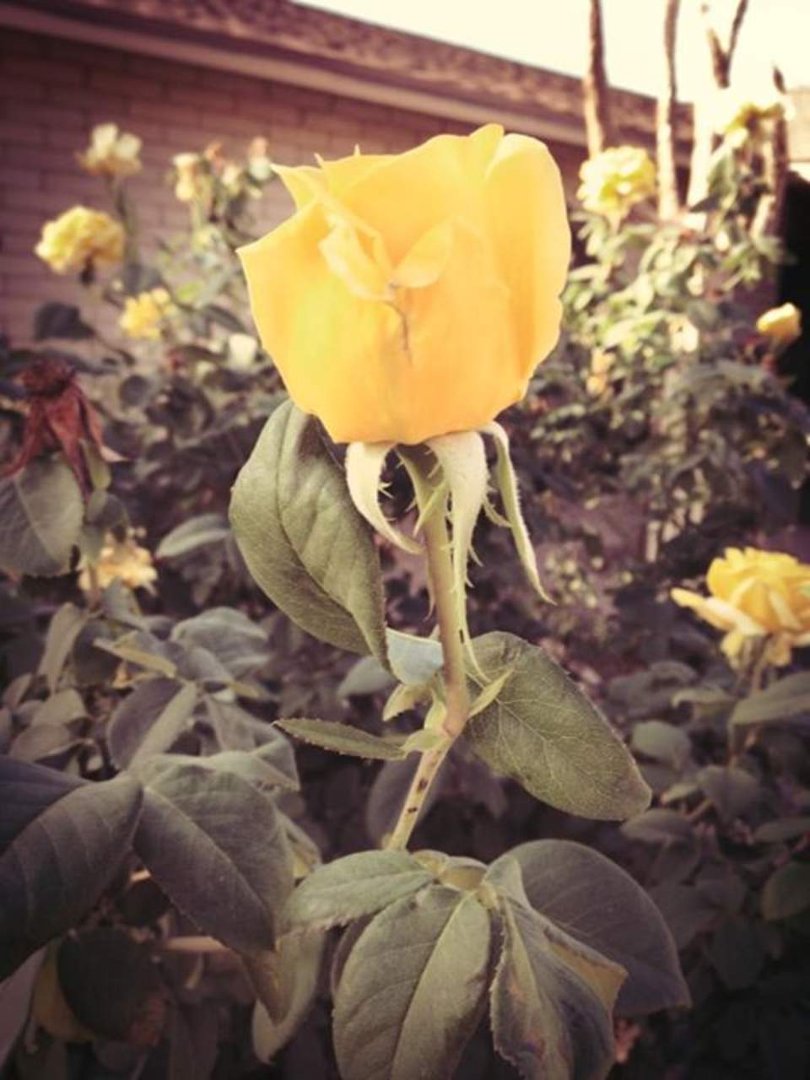 Kevin Graeb's album, Mobile Uploads