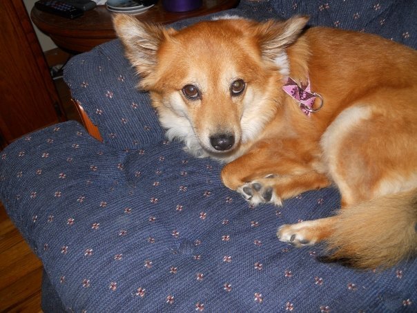 Dixie Dereus' album, Thanksgiving weekend 2009