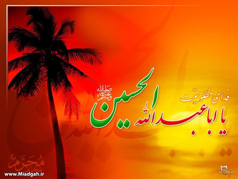 Ahmar Awan's album, Cover Photos