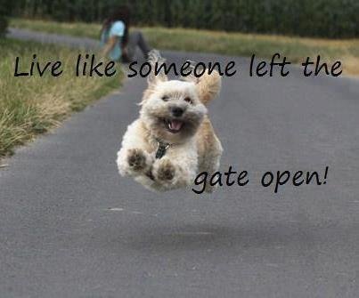 Eileen Colleton's album, Timeline Photos