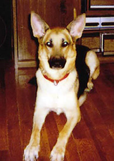 Edith Sequeira's album, Profile Pictures