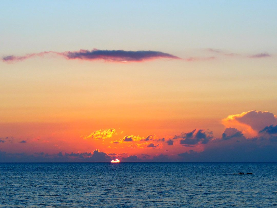 Rick Daly's album, Cover Photos