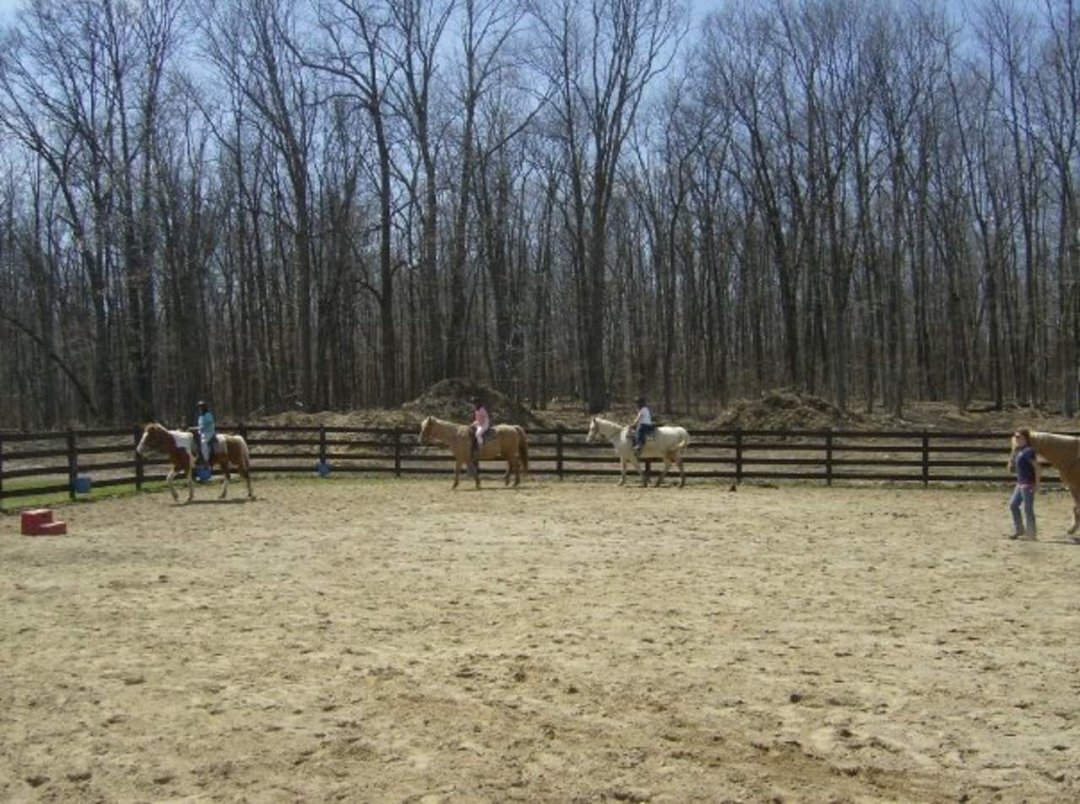 Gail Ward's album, G.S Camp April 2009