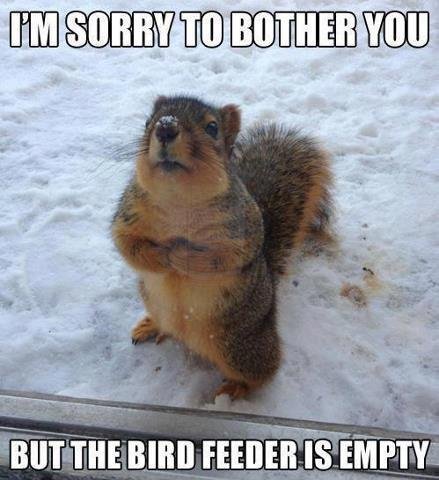 Eileen Colleton's album, Timeline Photos