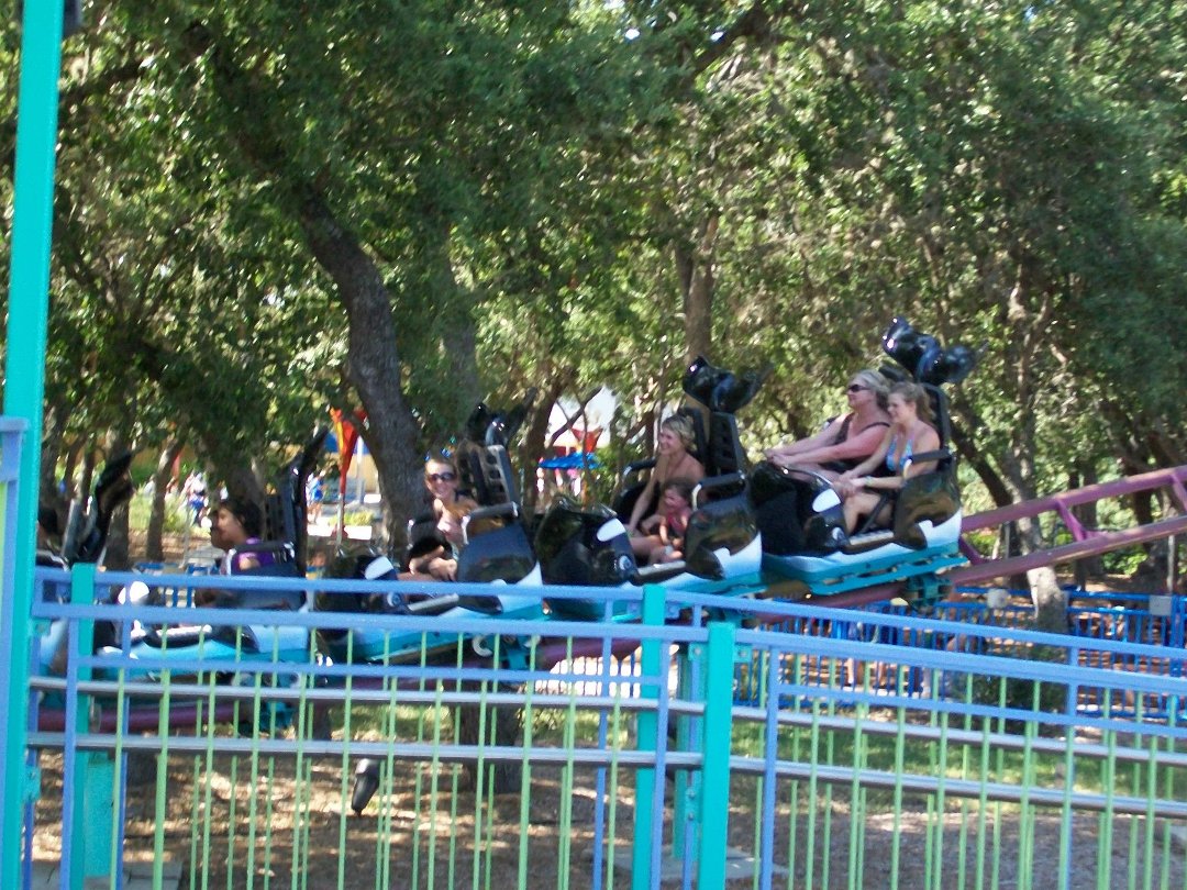 Debra Vaello's album, Seaworld Summer 2012