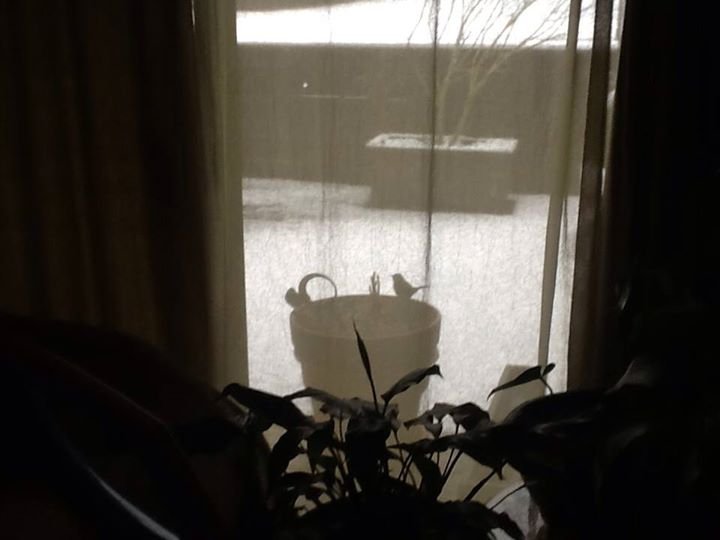Ellen Ruane's album, iOS Photos