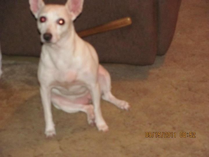Debbie Arnold's album, family pics