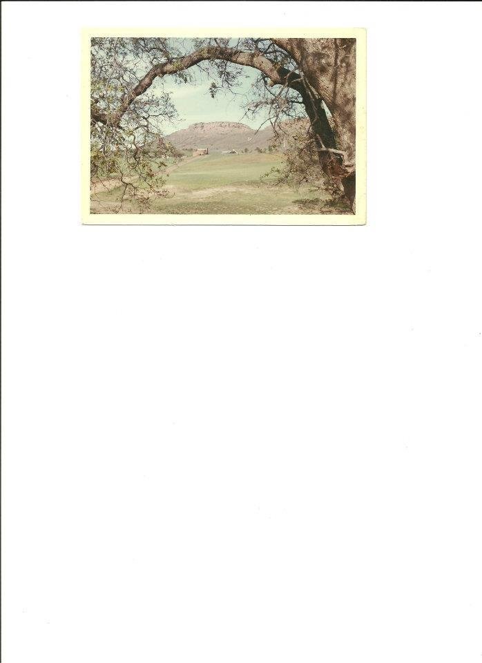 Darla Davenport's album, December 15, 2011
